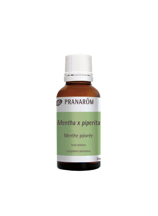 PRANAROM Pranarôm Organic Peppermint Essential Oil (Mentha x Piperita) 30ml - Image 3